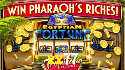 Descubra o Mundo do Cassino Online com xx77